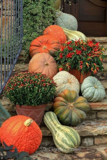 Cozy Thanksgiving Porch Decor Ideas Fall gourds easily come together to make a simple outdoor decoration. Simply arrange any colorful pumpkins, squash, and other gourds on your front steps.