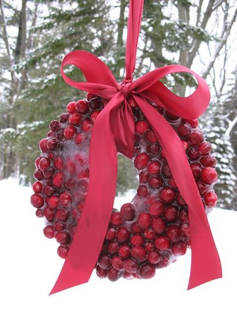 a cranberry ice wreath with a red bow on top will not only add interest to your outdoor space but will also attract birds to your garden