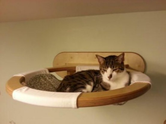 a round wall-mounted wooden cat bed with a hammock inside is a stylish and creative option to try