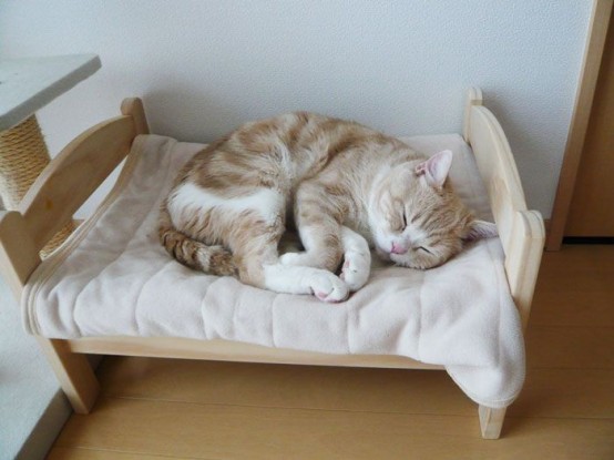 a cute wooden cat bed shaped as a human bed, with bedding is a very cool and cute idea to go for
