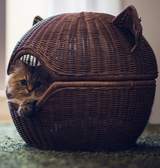 a basket bed shaped as a cat head is a cool and bold idea with a rustic feel and will be a nice retreat for your kitty