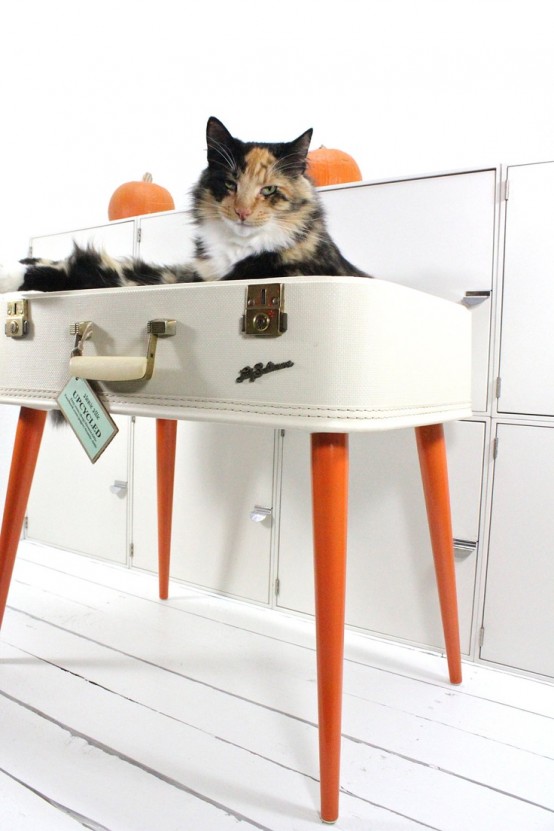 a suitcase cat bed on tall legs is a very creative idea, you can buy a ready one or make it yourself upcycling an old suitcase