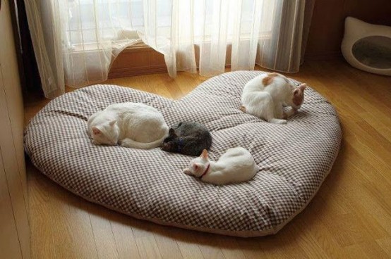 a large heart-shaped cat bed will be a nice option for several kitties or can be made smaller and used by just one cat