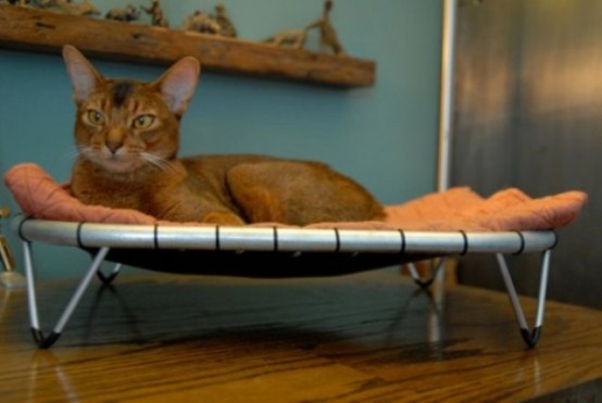 a hammock for a cat is a nice relaxed spot to have a sleep, can be used both indoors and outdoors