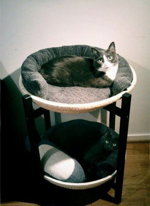 a comfortable cat bunk bed is a stylish piece for two cats, you can DIY one or buy it, even if you have one cat, it will fit