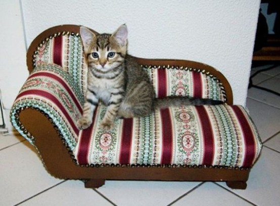 a bright sofa-like cat bed as a mini copy of a large human sofa, and your cat will enjoy it no less than you will