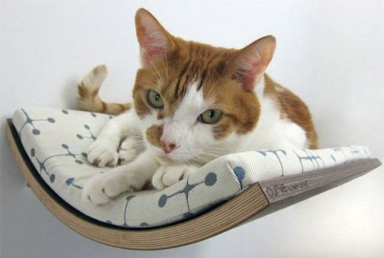 a curved wall-mounted cat bed will be a loved spot by your cat as felines enjoy staying up