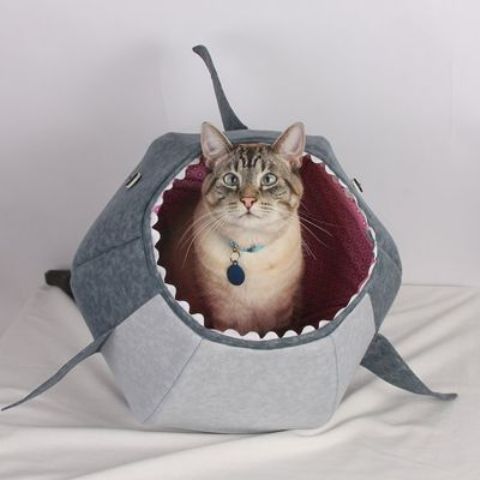 a fun shark cat bed is a nice retreat to hide and a fun bed to go for, it will add a modern funny feel to your interior