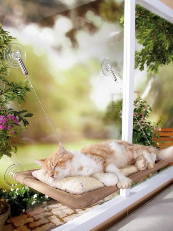 a comfy cat hammock bed like this one can be attached to a window, which means that your cat will be able to look at the street