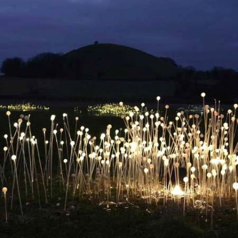 super creative lit up plants like these ones will be a unique solution for any outdoor space, who said that outdoor light should be ordinary