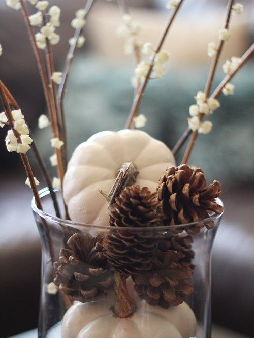 a large vase with white pumpkins and pinecones, with blooming branches for chic and neutral fall decor