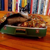 a bright pet bed made of a green suitcase and a bright printed cushion – place it on casters to make moving it easy