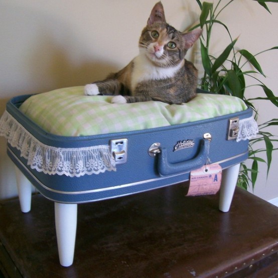 a pretty bright pet bed of a blue suitcase with a green pillow and some legs is a cool solution for a vintage space