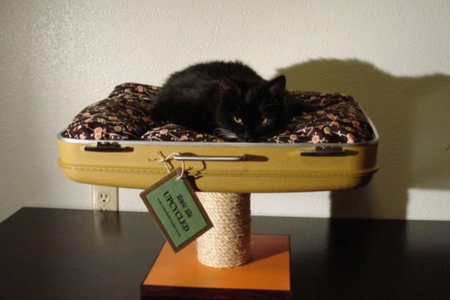 a creative pet bed on a stand made of a vintage suitcase half and some blankets will let your kitty sit on top the world