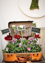 a vintage suitcase turned into a large planter is a creative idea for both indoors and outdoors and a cool way to upcycle