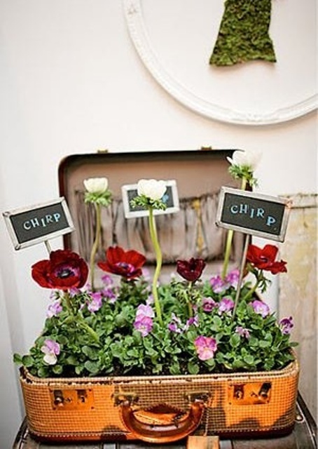 a vintage suitcase turned into a large planter is a creative idea for both indoors and outdoors and a cool way to upcycle
