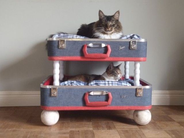 a pretty and creative cat bunk bed composed of two vintage suitcases and some soft pillows and blankets is a great DIY to make your pets happy
