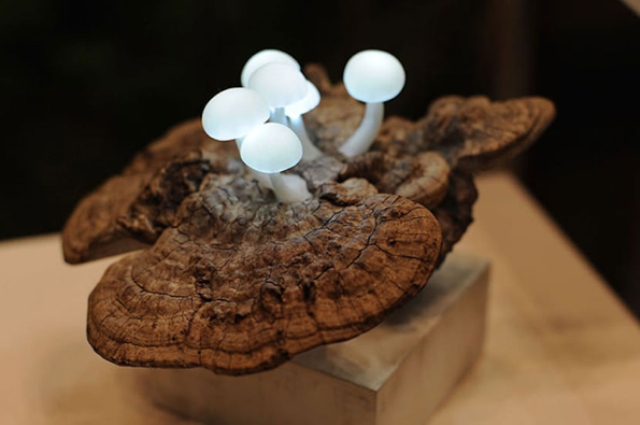 Cute And Whimsy Little Mushroom Lamps