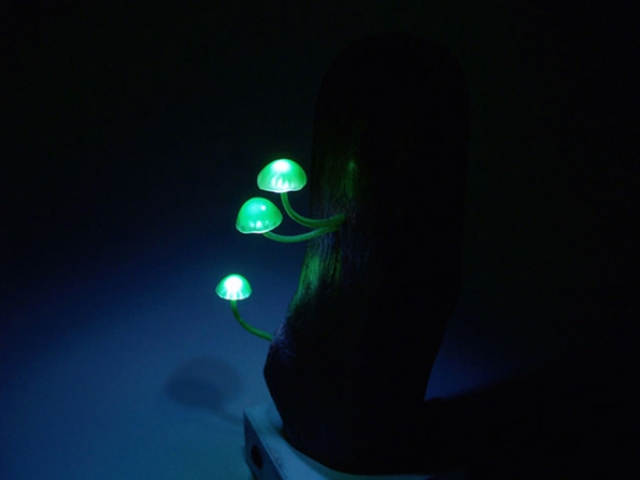 Cute And Whimsy Little Mushroom Lamps