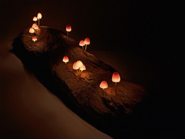 Cute And Whimsy Little Mushroom Lamps