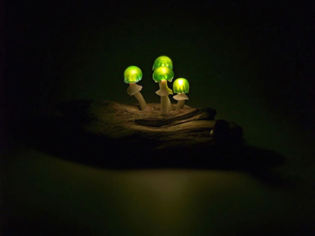 Cute And Whimsy Little Mushroom Lamps