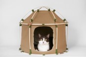 cute-cat-study-house-of-bamboo-and-cloth-1
