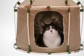 cute-cat-study-house-of-bamboo-and-cloth-3