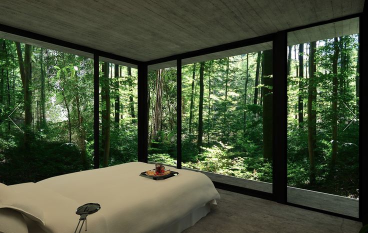 a small modern bedroom with a large bed, glass walls and gorgeous forest views is a lovely space to be