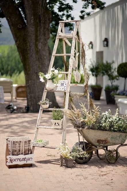 Ladders For Food Decor Display - Wedding & Party Rentals, Wedding Arbors to  Throne chairs