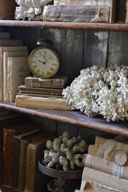 corals placed on a vintage shelf to make the space look seaside and coastal-like