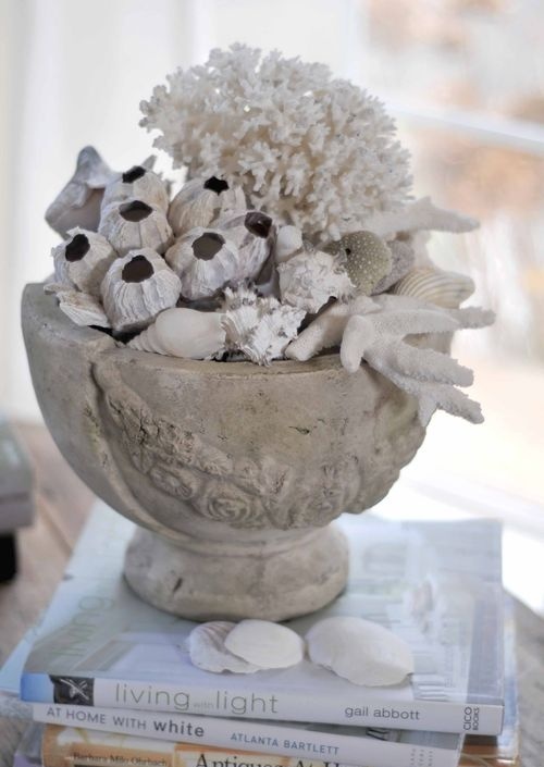 a vintage urn filled with sa urchins, seashells and corals is a lovely idea and eays decoration to go for