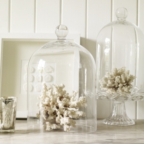cloches with corals are lovely decorations for a seaside space and they can be placed anywhere