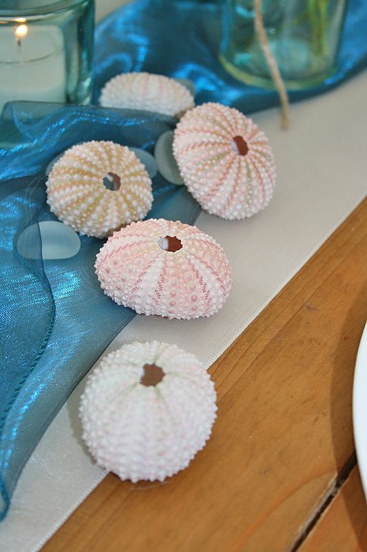 Decorating With Sea Urchins 27 Cool Ideas DigsDigs