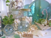 seashells, mussel shells, a seashell succulent pot, succulents and jars with seashells of various kinds feels relaxed