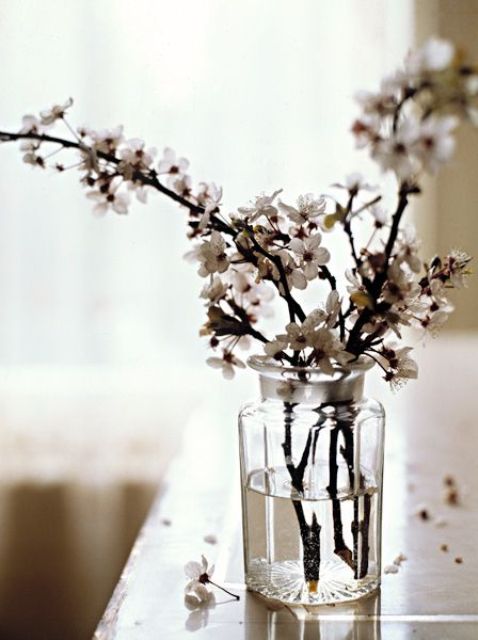 white blossom branches in a clear vase is a chic idea for neutral and cool spring decor