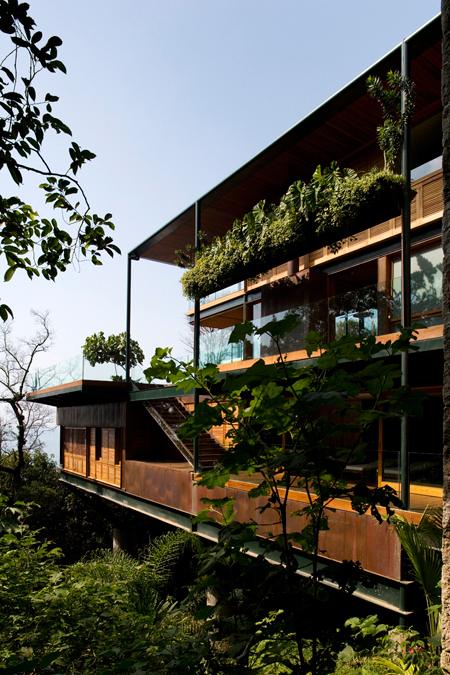 Detached From The Ground House In The Canopy Of Trees
