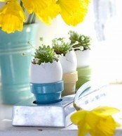 eggs in pastel cups with succulents inside and a bright yellow flower arrangement for Easter