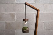 Eco Friendly Lamp With A Terrarium Lampshade