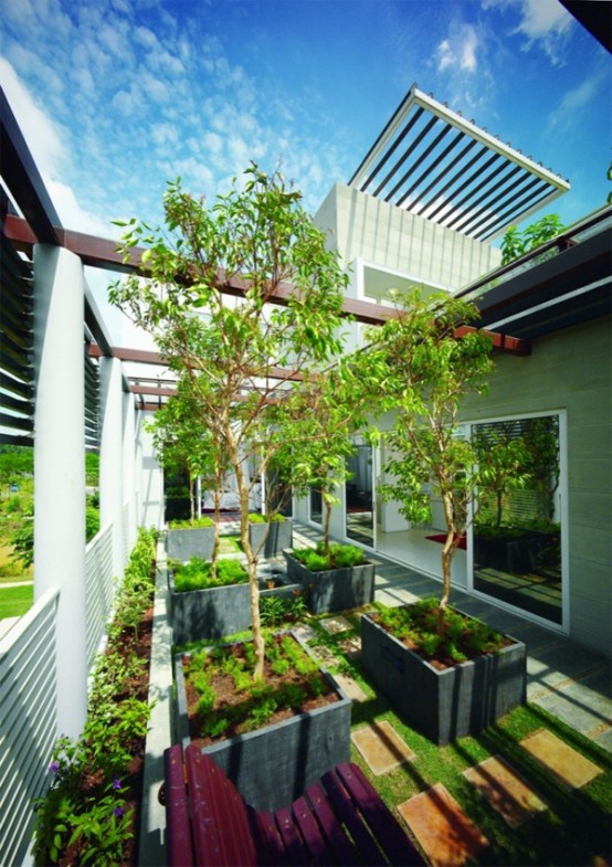 Tropical House Design with Cool Rooftop Garden and Canopy - Setia Eco