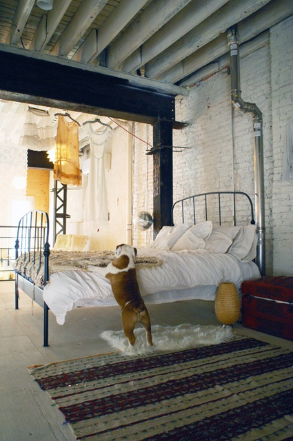 a neutral industrial bedroom with white brick walls, a black metal bed and neutral bedding, exposed piping and wooden beams