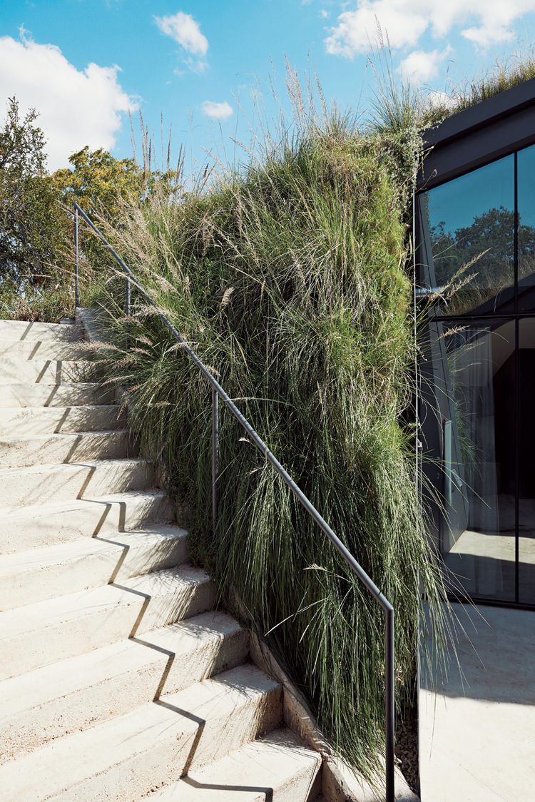 Super Modern House Design With a Living Roof