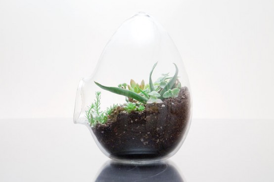 Eggloo Terrarium