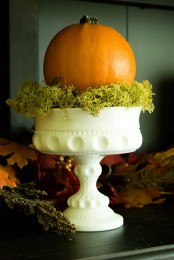 a natural pumpkin on a vintage white stnd and with moss is a beautiful vintage-inspired decoration for the fall