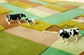 Farmville Carpet