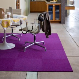 flor carpet house pet