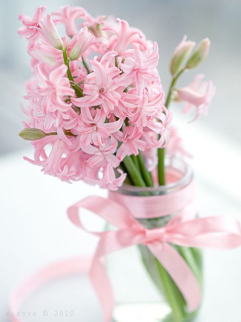 a clear vase with a pink ribbon bow and pink bulbs is a lovely and bright spring decor idea for your space