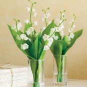 clear vases with green leaves and lily of the valley are amazing for a fresh spring feel and aroma in your space
