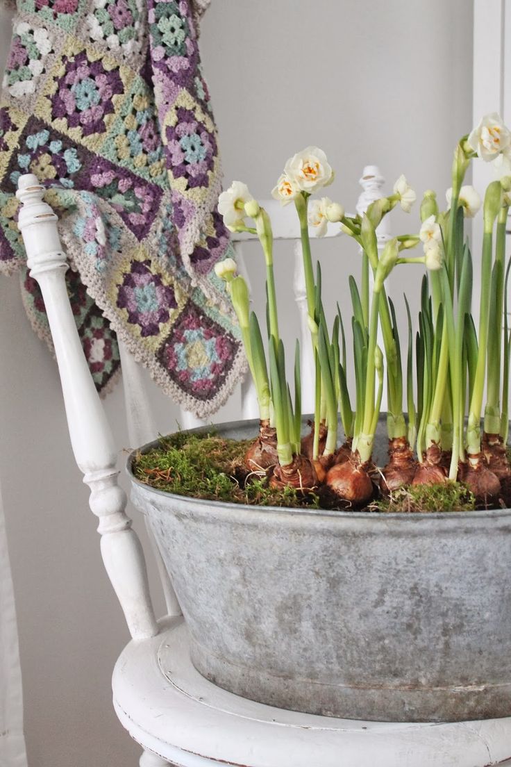 a galvanized bathtub with moss and white bulbs is a lovely rustic decor idea for indoors or outdoors