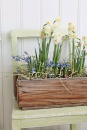 a wooden box with blue and creamy spring blooms and some hay looks very rustic and relaxed and will fit both an indoor and an outdoor space
