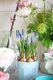 a blue planter with blue hyacinths is a pretty and cool idea to add a spring feel to outdoors or indoors
